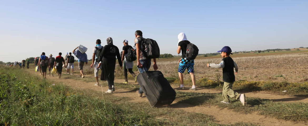 MIGRATION